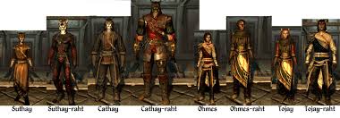 Suggestions For An Eventual Khajiit Centric Update Elder