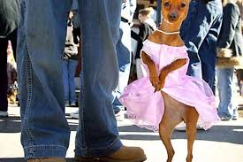 SFGate: Year in Pictures