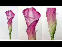 Watercolor Calla Lily Flower Painting Demo Youtube Acrylic Painting Flowers Pink Calla Lilies Painting Demo