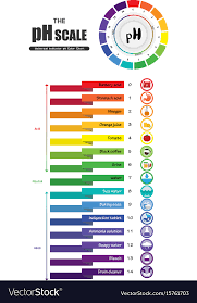 Ph Scale Universal Indicator Ph Color Chart Vector Image