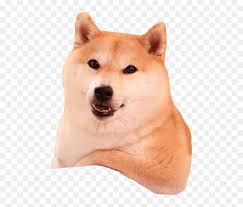 Shiba Inu Relaxing Transparent Png Image Shiba Inu Transparent Background Png Download Vhv Tons of awesome shiba inu wallpapers to download for free.