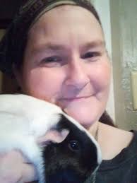 Guys, help me identify this one's breed. Is this an American guinea pig?🥳