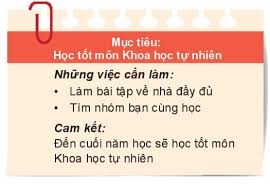 Em hãy nhận xét mục tiêu và kế hoạch hành động của các bạn