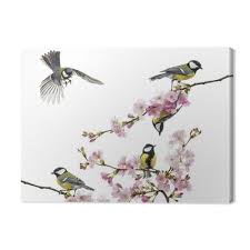 Samenstelling van kool en mees. Canvas Koolmees Pixers We Leven Om Te Veranderen