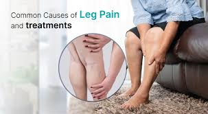 Image result for Leg Pain