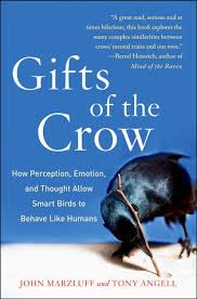 Book Review Gifts Of The Crow By John M Marzluff Tony Angell In 2020 Crow Facts Crow Crows Ravens