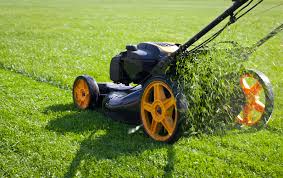 We specialize in landscaping services, lawn care service, & more! Who Can I Get To Mow My Yard In Arlington Texas Dependable Handsome Lawn Service In Arlington Texas
