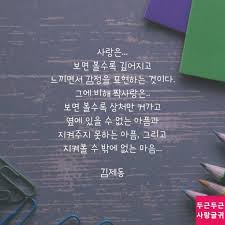 사랑에 있는 핀