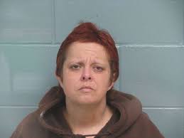 Two Slocomb residents face Florida meth charges