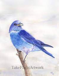 Pin On Home Decor And Art Prints