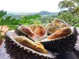 Durians are planted on a large scale in penang state and also in pahang and is one of the most valuable crops for malaysia. 8 Places For Durian Lovers To Indulge In Penang 2019 Guide Penang Foodie