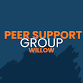 Peer Support Group - Willow event image