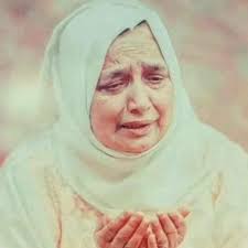 Profile for Abdur Rahman Safi