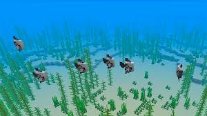 The 22 varieties of tropical fish most commonly found throughout the world have varianttag values from the following table, which also lists what color/shape/patterns come from that value. Minecraft 1 13 Snapshot 18w10a 18w10b 18w10c 18w10d Mine Guide