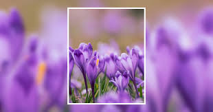 Jon Michael Morrow Obituary