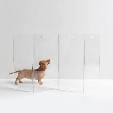 Oxgord heavy duty portable metal exercise dog. High End Clear Acrylic Pet Gates Crates Clear Home Design