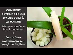 Comment Extraire Le Jus D Aloe Vera Faire Son Gel Et Bien Le Conserver Lotion Hydroalcoolique Youtube En 2020 Aloes Aloe Vera Lotion