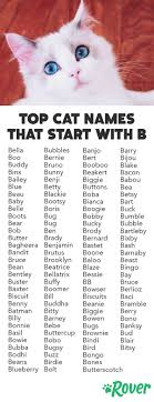 The Best Cat Names That Start With B For 2019 Cat Names Kitten Names Kitten Names Unique