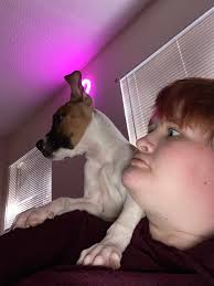 Could you please be so kind as to identify? 4 month old baby was bitten.