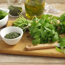 Let the stems die back and cut them off in late autumn. Lovage Seeds Garden Lovage Herb Seed