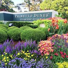 Learn about common debt problems, including filing for bankruptcy. Landscaping Projects In South Carolina The Greenery Inc