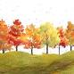 Autumn Trees in Moosehead