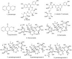 Image result for Pentas longiflora