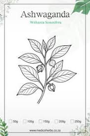 Image result for Eriosema cordatum