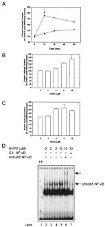 Check spelling or type a new query. Cellular Protection Mechanisms Against Extracellular Heme Journal Of Biological Chemistry