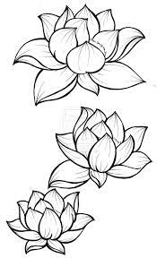Lotus Blossom Tattoo By Metacharis On Deviantart Lotus Blossom Tattoos Flower Drawing Flower Sketches