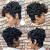 Black Pixie Cut Weave