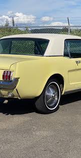 Image result for Sunlight Yellow 1964 Mustang