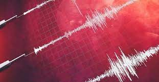Перевод контекст temblor c испанский на русский от reverso context: Temblor Magnitud 6 3 Se Registra En El Norte Del Pais T13