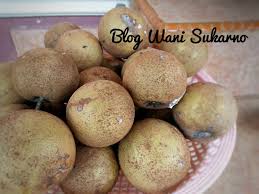Pieces of chicken are first fried to a golden brown then slowly braised in a spicy tomato sauce. Homegrown Sapodilla Buah Ciku Part 2