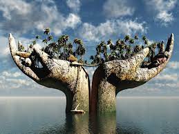 The Most Amazing Thing Desert Island Top 10