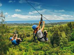 Free, #nascar, talk, anything, nation, texas, motor, speedway, dallas, cowboys, camp, flamingo. Activities Things To Do Gifts Adventures Adrenaline Usa