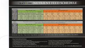 Charts Round Mountain Garden