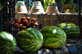 First i'll begin with a few of my favorite flower seeds that i always many types of vegetable seeds need to be started indoors in order to perform their best, and 9. Can You Grow Watermelon On A Balcony Small Balcony Design