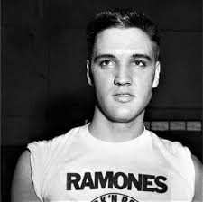 74 happy birthday wishes to the Original Discipline of Soul Steve Van Zandt  ♥️