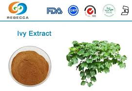 ຈີນຕົວຢ່າງຟຣີ Ivy Leaf Extract ຜູ້ຜະລິດໂຮງງານຜະລິດ - ຊື້ໃນຈໍານວນຫລາຍ -  Rebecca