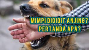 Check spelling or type a new query. Tafsir Atau Arti Mimpi Digigit Anjing Pertanda Apa Youtube