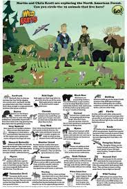 North American Forest Search And Find Kids Pbs Kids For Parents