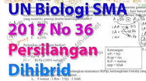 Maybe you would like to learn more about one of these? Pembahasan Un Biologi Sma 2017 Peranti Guru