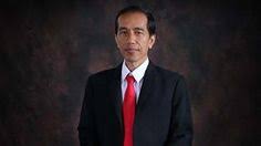 Herbs and spices for cooking on dark background. Background Foto Presiden