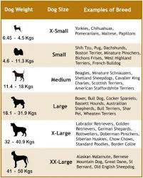 Dog Breed Weights Goldenacresdogs Com