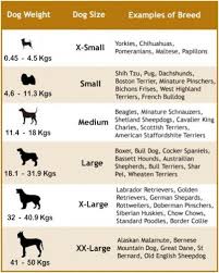 dog breed weights goldenacresdogs com