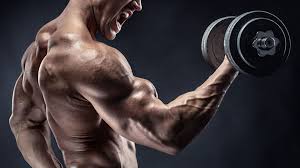 The tiger is the biggest big cat around. Can You Identify All Of These Muscles From An Image Howstuffworks