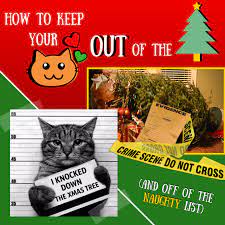 The first step to keep your cat away from the christmas tree will be to choose the type of tree that is best suited for you and for him. Keep Your Cat Out Of The Christmas Tree And Off Of The Naughty List Allegheny North Veterinary Hospital