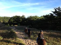 Check spelling or type a new query. Les Ecuries De La Sauzaie Vendee Tourisme