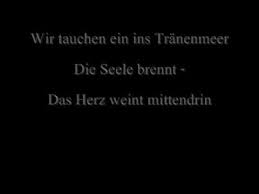 Eisblume Stern Lyrics Youtube Alles leuchtet dieser tag, zeigt sich heiter er umarmt mich, lacht mich an es geht weiter alle sagen hab. eisblume stern lyrics